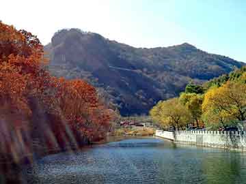 管家婆黑白马报图库，锐志 油耗